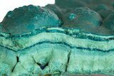 Teal Botryoidal Chrysocolla and Malachite - Chile #310155-1